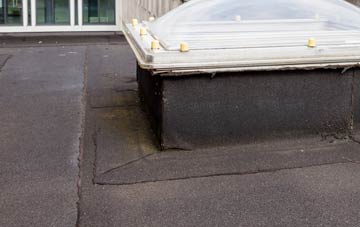 disadvantages of Lade Bank flat roofs