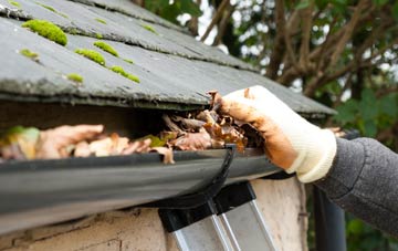 gutter cleaning Lade Bank, Lincolnshire