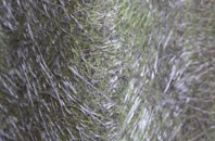 Lade Bank fibreglass roof work